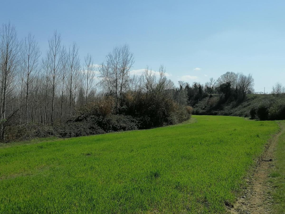 Apartmán Az.Agricola Agriturismo La Locanda Di Lann Fucecchio Exteriér fotografie