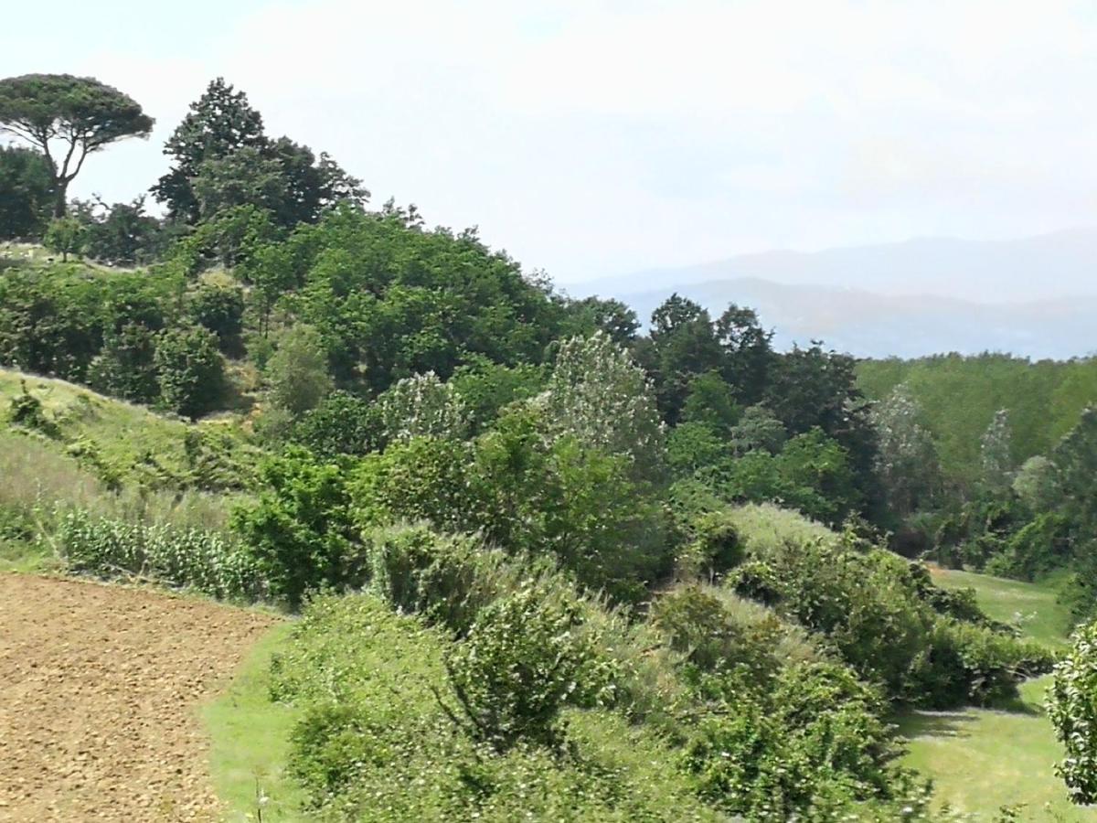 Apartmán Az.Agricola Agriturismo La Locanda Di Lann Fucecchio Exteriér fotografie