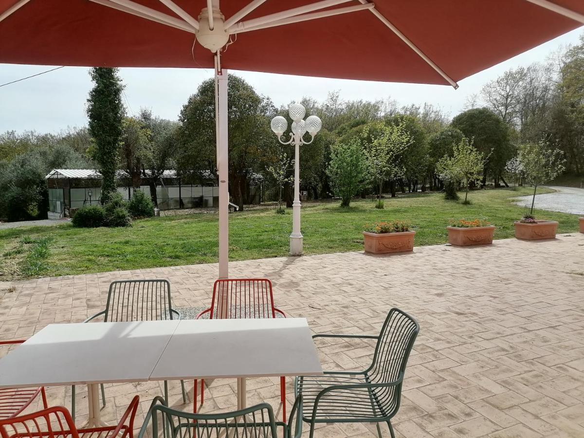 Apartmán Az.Agricola Agriturismo La Locanda Di Lann Fucecchio Exteriér fotografie