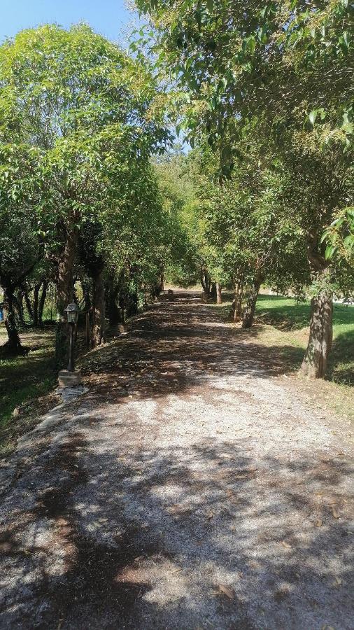 Apartmán Az.Agricola Agriturismo La Locanda Di Lann Fucecchio Exteriér fotografie