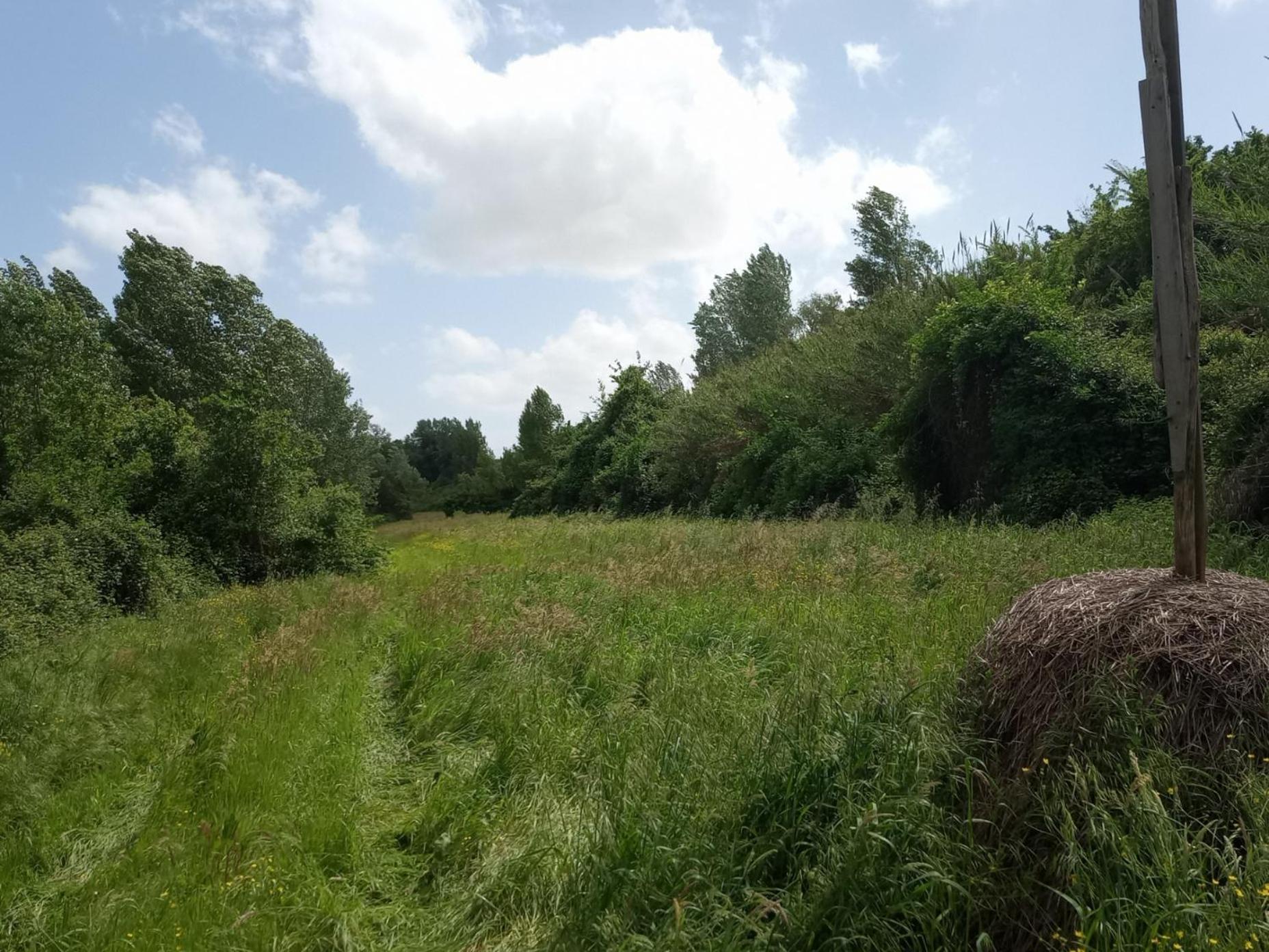 Apartmán Az.Agricola Agriturismo La Locanda Di Lann Fucecchio Exteriér fotografie