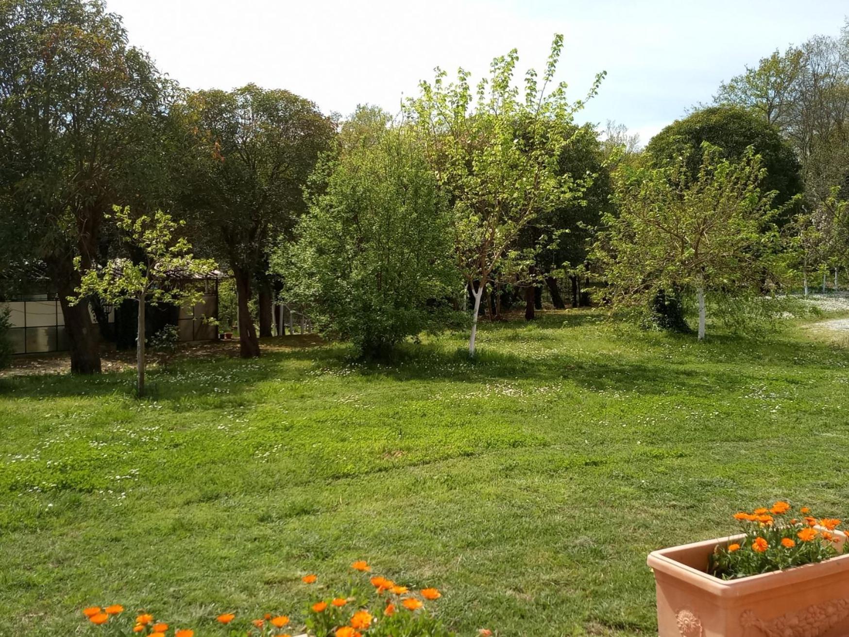 Apartmán Az.Agricola Agriturismo La Locanda Di Lann Fucecchio Exteriér fotografie