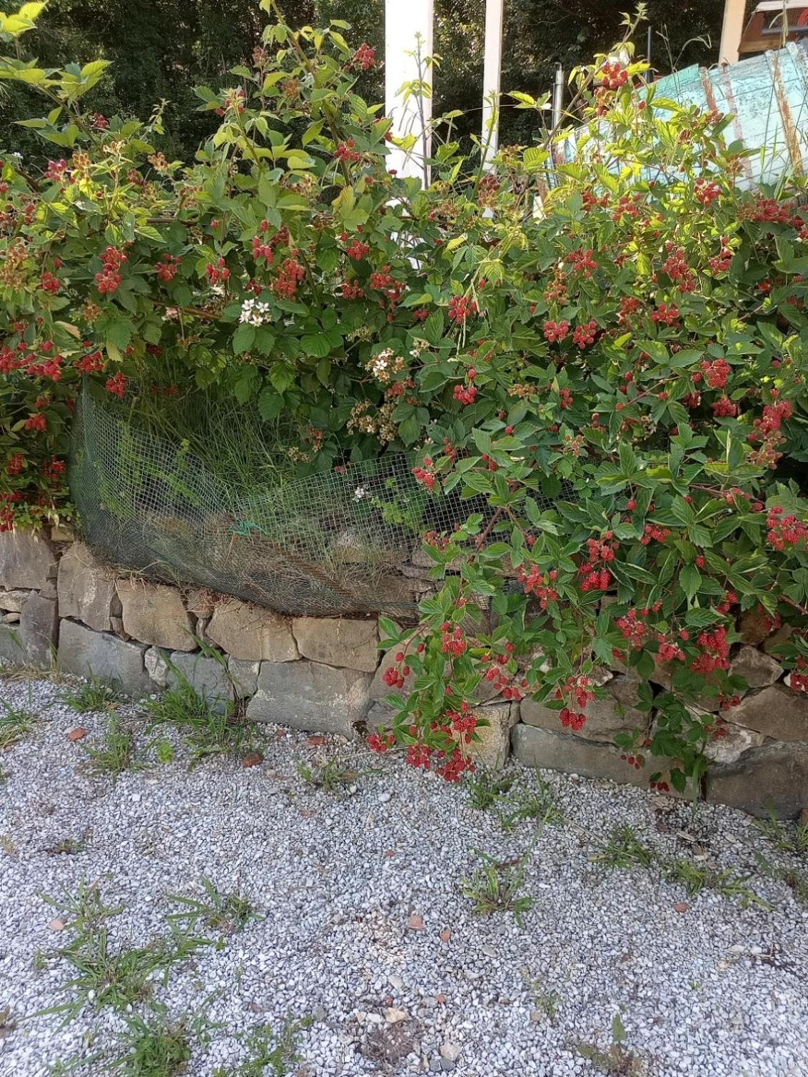 Apartmán Az.Agricola Agriturismo La Locanda Di Lann Fucecchio Exteriér fotografie